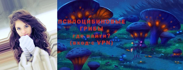 экстази Белокуриха