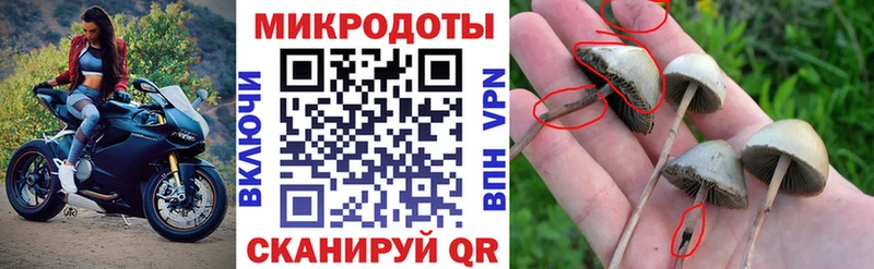 где купить наркоту  Высоковск  Псилоцибиновые грибы мухоморы 